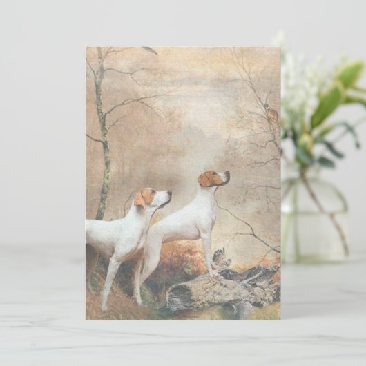 English Pointer  招待状 (スタンド正面)