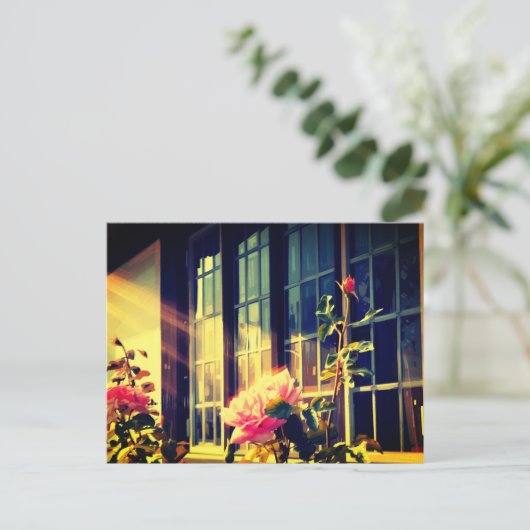 English Rose ポストカード (スタンド正面)