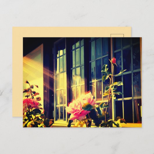 English Rose ポストカード (正面/裏面)