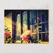 English Rose ポストカード (正面)