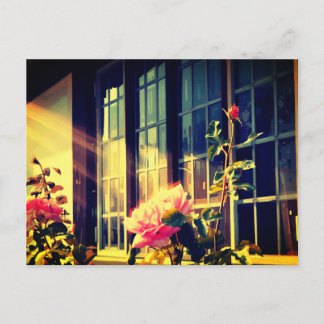 English Rose ポストカード