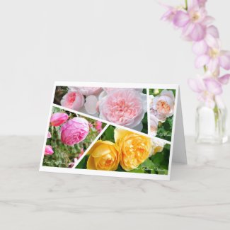 English Roses [Greeting Card] カード