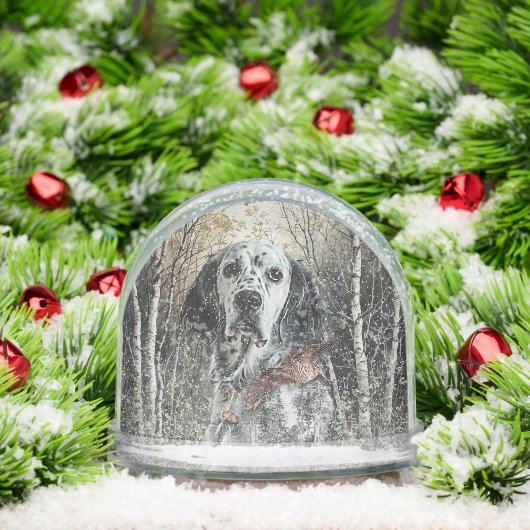 English Setter  (クリスマス)