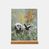 English Setter  アクリルサイン (正面)