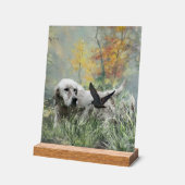 English Setter  アクリルサイン (傾斜)