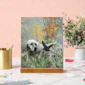 English Setter  アクリルサイン (ウェディング)