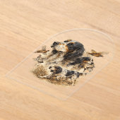 English Setter  アクリル招待状 (レイダウン)