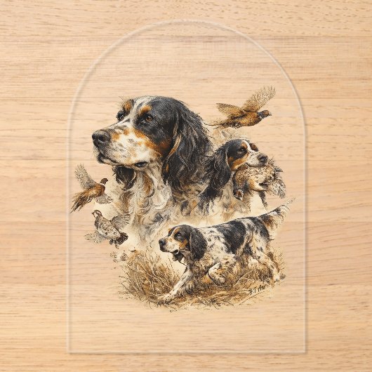 English Setter  アクリル招待状 (正面)