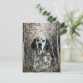 English Setter  シーズンポストカード (スタンド正面)