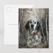 English Setter  シーズンポストカード (正面/裏面)