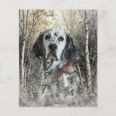 English Setter  チラシ (正面)