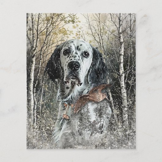 English Setter  チラシ (正面)