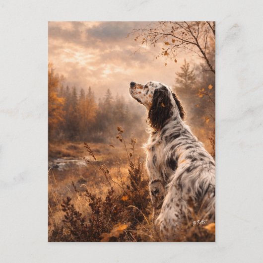 English Setter ポストカード (正面)