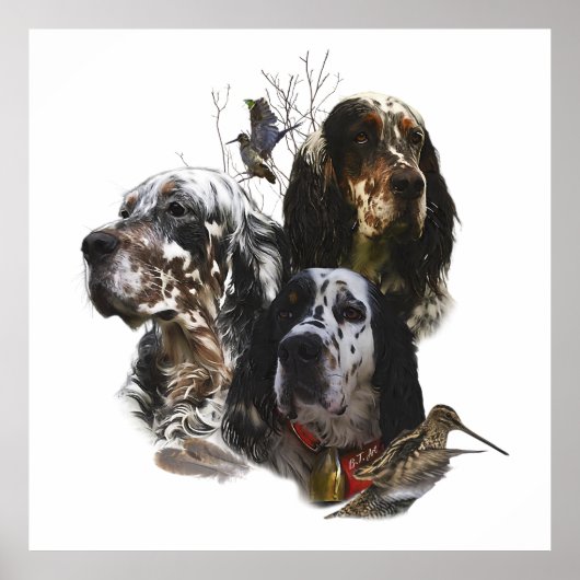 English Setter、鳥の狩り ポスター (正面)