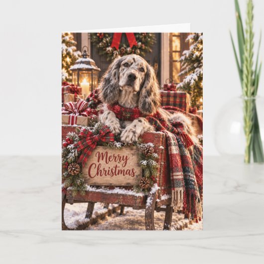 English Setter Christmas Card カード (正面)