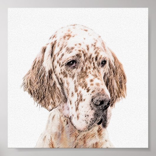 English Setter Orange Belton Painting Dog Art ポスター (正面)
