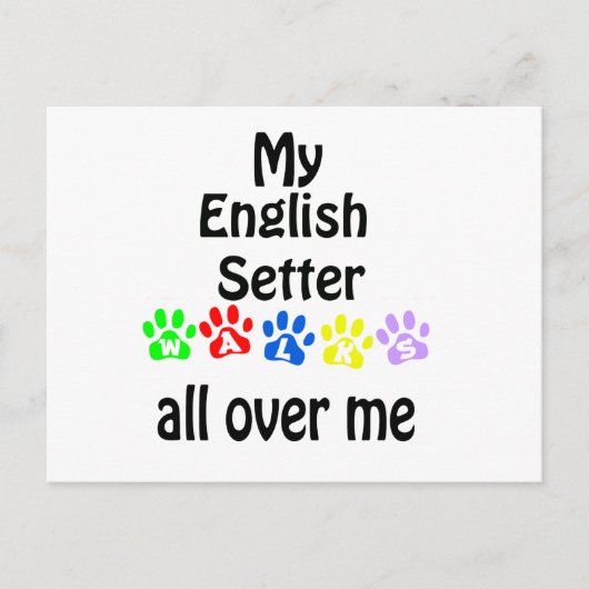 English Setter Walksデザイン ポストカード (正面)