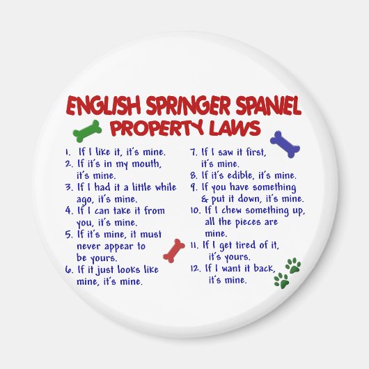 ENGLISH SPRINGERスパニエル犬プロパティ法2 マグネット (正面)
