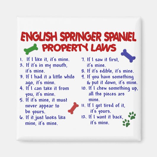 ENGLISH SPRINGERスパニエル犬プロパティ法2 マグネット (正面)