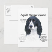 English Springerスパニエル犬(blk)履歴デザイン ポストカード (正面/裏面)
