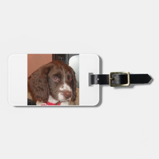 English_Springer_Spanielのlwの子犬 ラゲッジタグ (正面横)