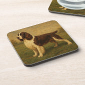 English Springer Spaniel コースター (左側)