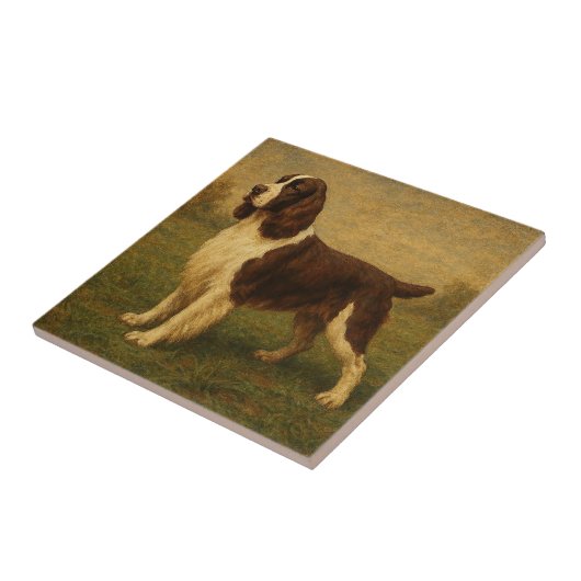 English Springer Spaniel タイル (側面)