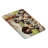 English Springer Spaniel mom and puppies マグネット (右側)