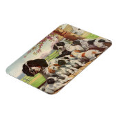 English Springer Spaniel mom and puppies マグネット (左側)