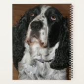 English Springer Spaniel Pet Photo プランナー手帳 (裏面)