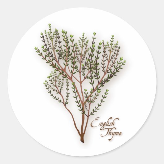 English Thyme Round Sticker ラウンドシール (正面)