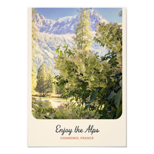 Enjoy the Alps - Chamonix France Botanical Landsca フォトプリント (正面)