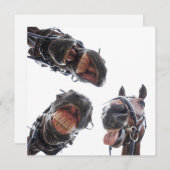 Enkele feestdagenkaart シーズンカード (正面/裏面)