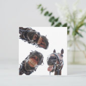 Enkele feestdagenkaart シーズンカード (スタンド正面)