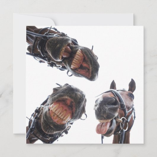 Enkele feestdagenkaart シーズンカード (正面)