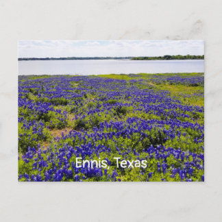 Ennis Bluebonnets by Lake Bardwellポストカード ポストカード