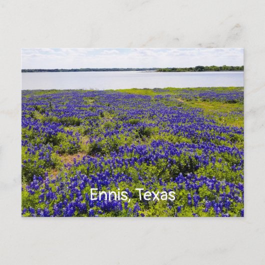 Ennis Bluebonnets by Lake Bardwellポストカード ポストカード (正面)