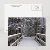 Enter - New Hampshire Snow Sceneはがき ポストカード (正面/裏面)
