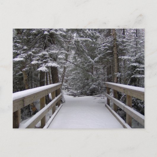 Enter - New Hampshire Snow Sceneはがき ポストカード (正面)