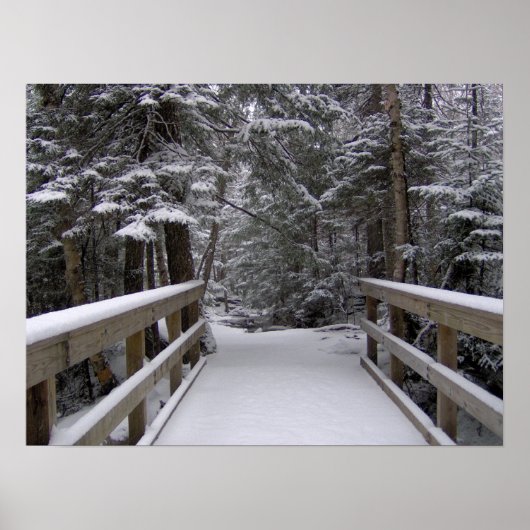 Enter - New Hampshire Snow Scene ポスター (正面)