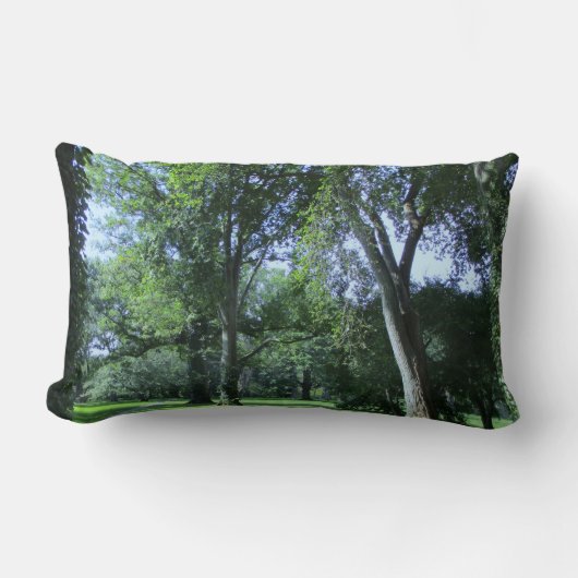 Entering the Greenwood ランバークッション (正面)