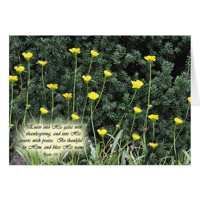 EnterintoHisgatesZazzle (正面横)