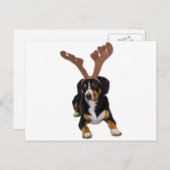 Entlebucherのクリスマス犬 シーズンポストカード (正面/裏面)