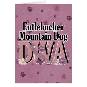 Entlebucher山犬の花型女性歌手