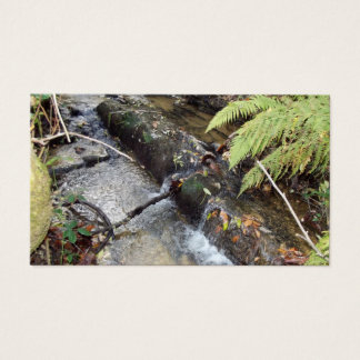 Entorno   Natural  Tarjeta   Visita