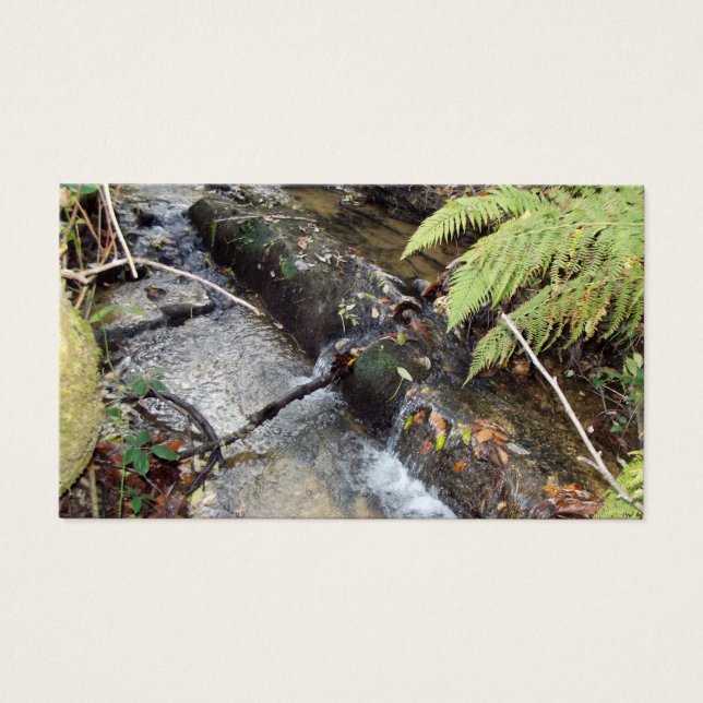 Entorno   Natural  Tarjeta   Visita (正面)