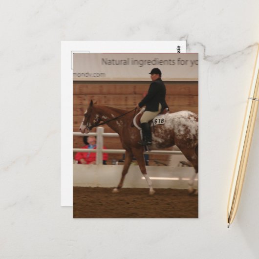 Entry Number 616 Horse Show ポストカード (正面/裏面インサイチュ)