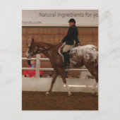 Entry Number 616 Horse Show ポストカード (正面)