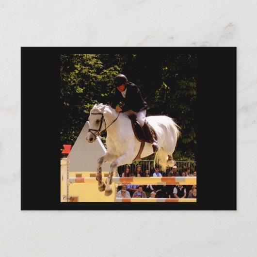 Envol ポストカード (正面)