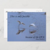 EPA救スノイ・エグレ・ヘロン 案内ポストカード (正面/裏面)